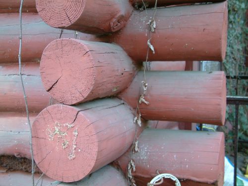 Corner of house showing painted logs. All of this construction on our log cabin build was done by hand by my father, Roger Mussells. He also built his own skidder to haul the log up to where he was working.