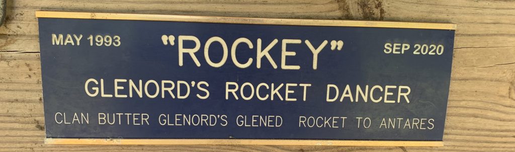 My American Warmblood horse, Glenord's Rocket Dancer aka Rocki stall name plate.