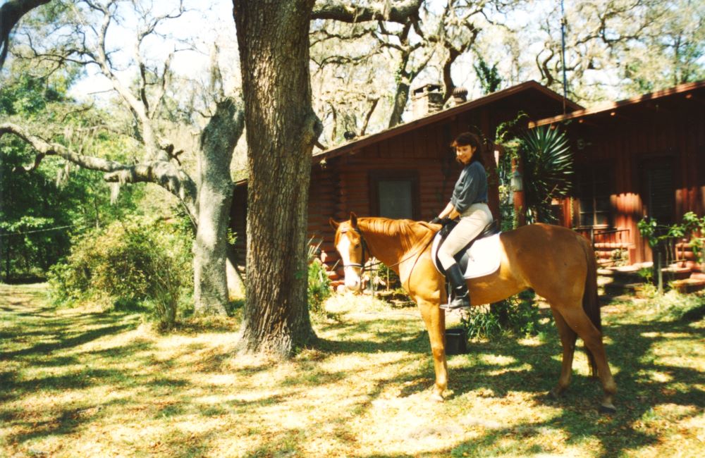 My Quarter Horse ex-racehorse, Sunny, in front of my house I grew up in Jacksonville, FL