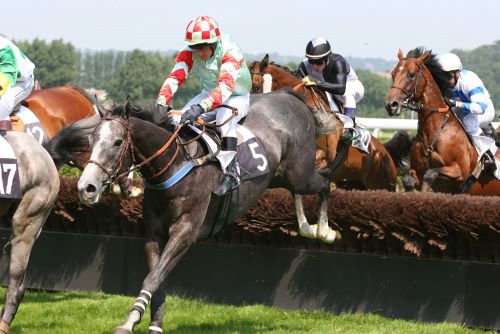 Steeplechase racing at Deauville  Hippodrome de Deauville - Clairefontaine