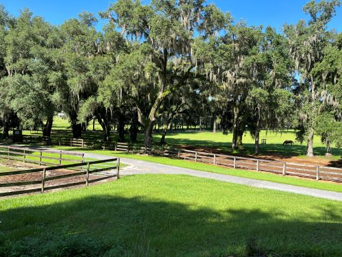 View of the road coming in to Everglades Equestrian Center.