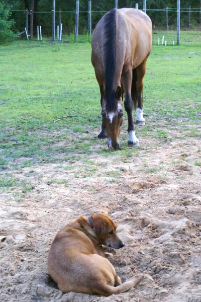 Rocki and my dog, Sally