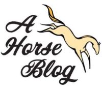 A Horse Blog