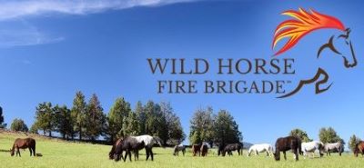 Wild horses shown cleaning forest floors