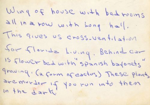 Wing of house with bedrooms all in a row with long hall. This gives us cross-ventilation for Florida living. Behind car is flower bed with “Spanish bayonets” growing (a form of cactus). The plants are murder if you run into them in the dark!