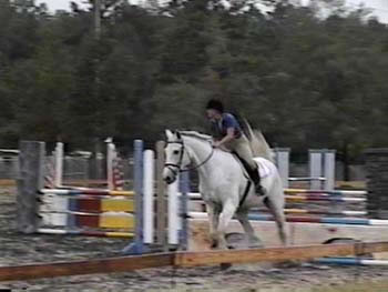 A friend riding Khan for his first time in a jumper competition.