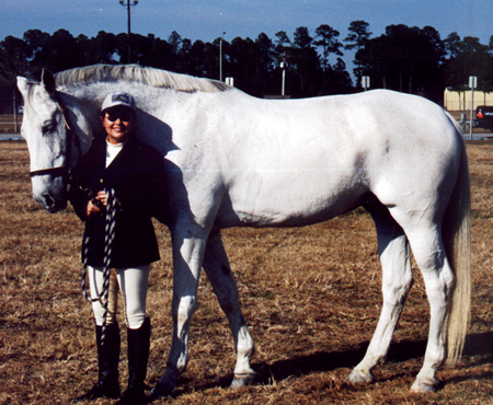 J.R. Khan 18 Hand European Warmblood. Trakehner cross.