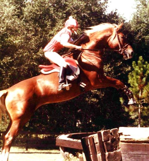 Khan's sire, Kathy Daly's stallion, Hurrikhan jumping the cross-country portion of a 3-day event. 