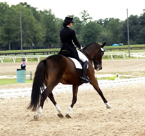 A friend and a trainer, Suzanne, riding an extended trot at a Dressage competition. 
