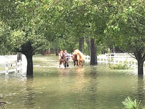 another hurricane and flood in north carolina