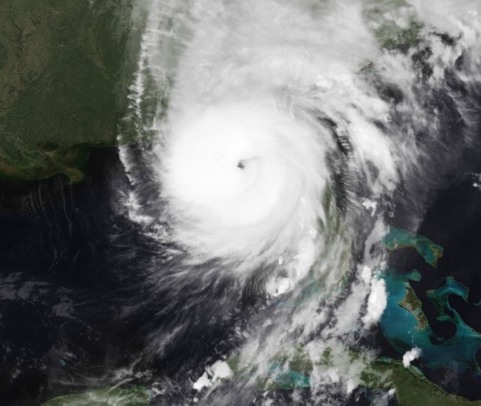 hurricane heleneHorses and Mules Were the Unsung Heroes During Hurricane Helene Recovery