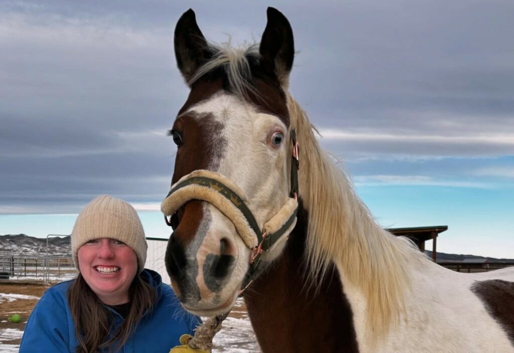 All Eyes on Hawke: An Equine Colorado Wildfire Survivor (2024)